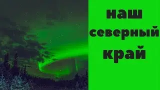 Наш  северный  край  51 регион