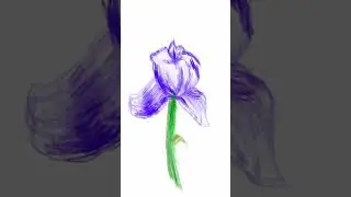 #Timelapse