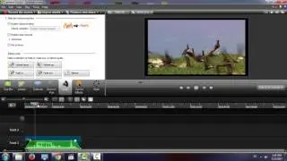 How to fade in and fade out audio using  camtasia