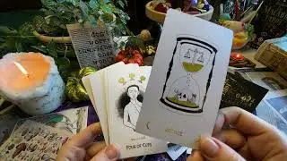 The macabre tarot обзор