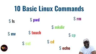 10 Basic Commands Linux