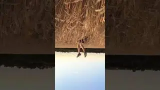 Идея для видео