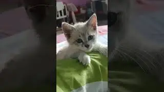 #funny