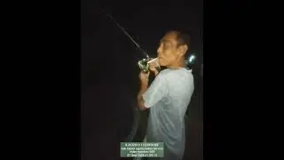 mancing malam dapet oleng klo daerah kalian ini ikan zidat