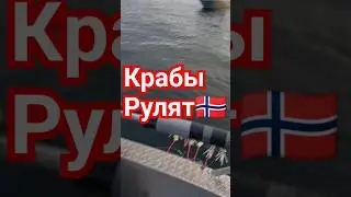 Незабываемая Рыбалка на Крабов