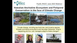 Hawaiian Anchialine Ecosystem and Fishpond Conservation in the face of Climate Change- June 2023