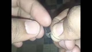 Animal Abuse