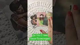 22 августа 2024 г.