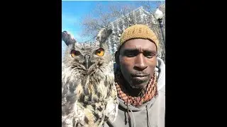 Rodney Stotts Saves Hawks and At risk youth! #shorts
