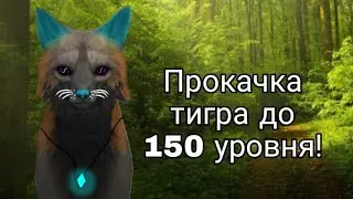 ПРОКАЧКА ТИГРА ДО 150 УРОВНЯ|Скоро ранг Мастер?