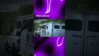 #Shorts Raving horse trances out down highway. Neigh MF!