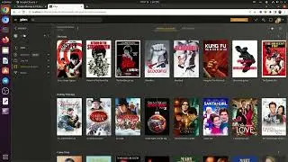 Plex Media Server Setup Linux