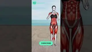 ➜ 5 Weeks to a Fat Free Belly ➜ 30 min STANDING Workout That Works! Exercise #2