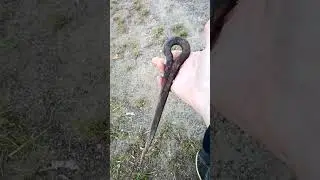 Находочка