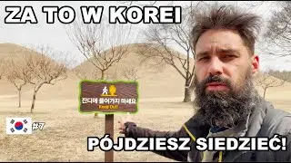 KOREA POŁUDNIOWA - ZAPROSILI MNIE DO TRADYCYJNEJ CHATY!