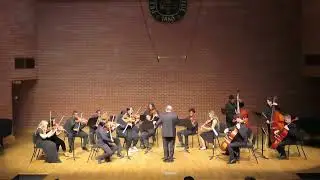 Hofeldt - Sonata for Strings IV -  PC Chamber Orchestra