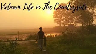 Vietnam Rural life - How to Catch Shrimp in Traps with Bait