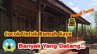 SUARA BURUNG PERKUTUT, DI RUMAH MINIMALIS DAN MEWAH (Mepet sawah)