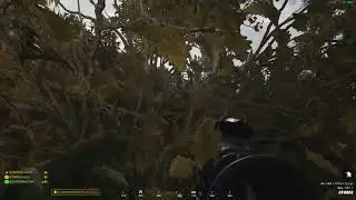 ГРИБЫ SQUAD 