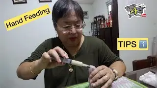 HAND FEEDING TIPS FROM MAAM MILET !
