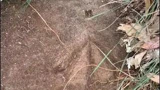 1880 Survey Rock Mark found at Ebenezer NSW Australia