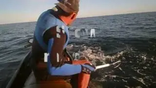 Kingfish jigging with Andrew Hill from Jetskifishing
