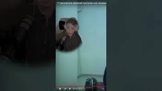 Японский сынок! 