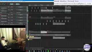 Wild Beats of the Internet