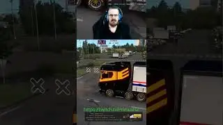 Ever hear the saying "When pigs fly"?... #twitchclips #streamer #twitch #ets2 #eurotrucksimulator2