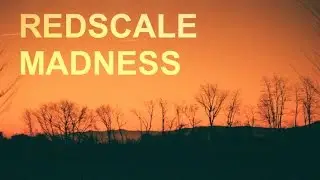 Redscale February Madness