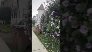 #terror