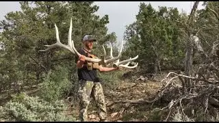 The Pursuit Of 400