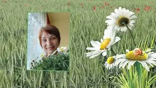 #Не_гони_не_лети_не_журись. Власта Власенко