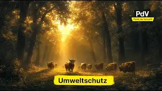 Irakli [033]: Von Rindern und Bäumen