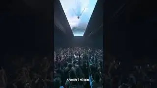 music Festival