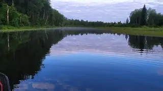 Дерзкие Щуки в таёжной глуши! Рыбалка на воблеры.