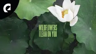 Wildflowers ft. Easton - They Sing Halleluja (Royalty Free Music)