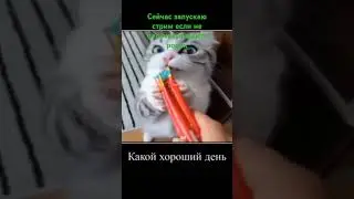 стрим #актив #мем #рек