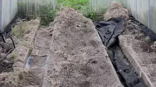 Теплица осенью