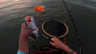 fishing Galveston surf with live croaker for speckled trout