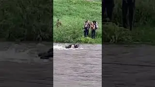 Переправа через реку