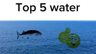 Top 5 water
