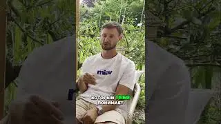 Как найти идеального напарника  Шаги к успеху