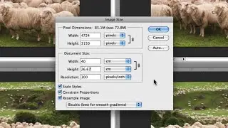 How To Resize Images In Photoshop Without Losing Quality