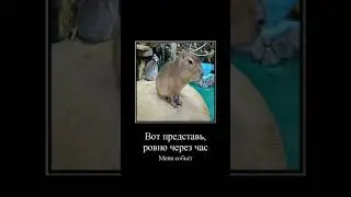 пофиг тебе да?