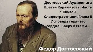 🌹🌹🌹Достоевский Аудиокнига Братья Карамазовы слушать онлайн Часть 1 Книга 3 Глава 5