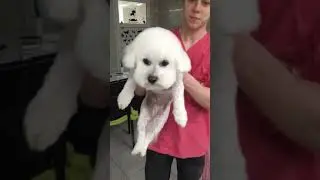 Тепер і у лісі легше бігати!