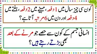 Dilchasp Malumati Islamic Paheliyan, Paheliyan in Urdu, GK Riddles, Common Sense Quiz About Islam,