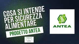 Cosa si intende per sicurezza alimentare
