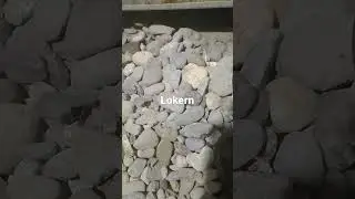 Nahihiya ang mga bato